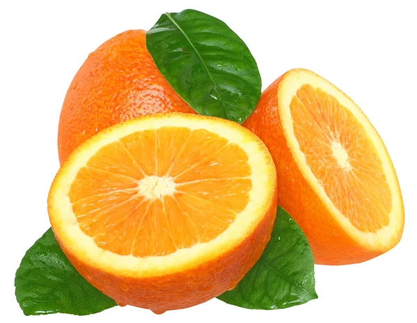 Orangenscheiben — Stockfoto