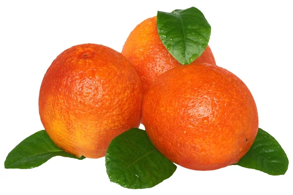 Drie sinaasappelen met bladeren — Stockfoto