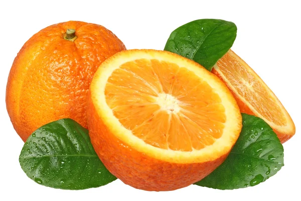 Orangenscheiben — Stockfoto