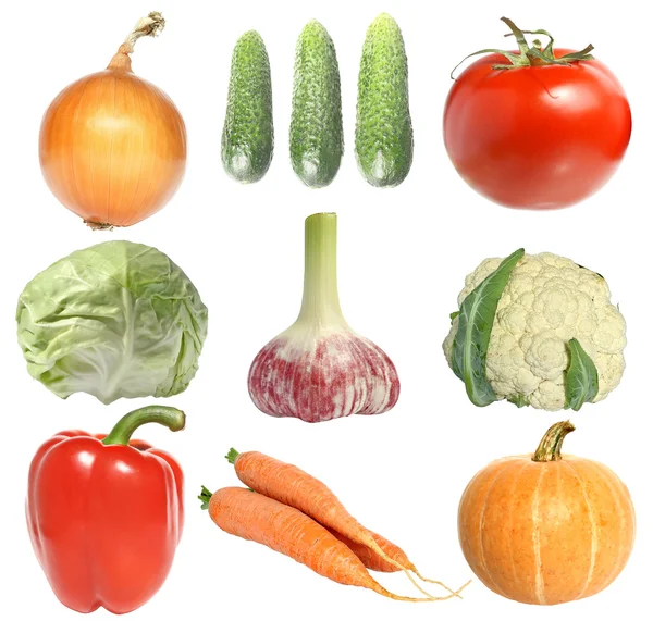 九个不同的蔬菜 — 图库照片