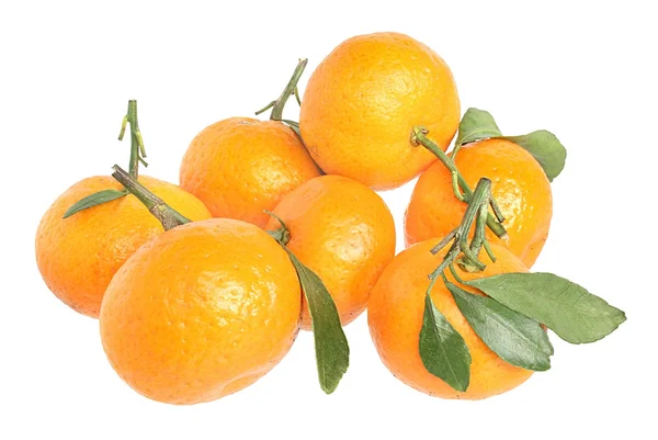 Tangerine — Stock Photo, Image