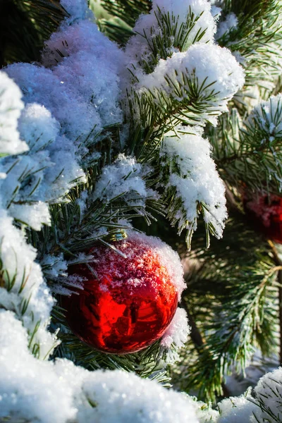 Branche Avec Une Décoration Arbre Noël Sous Neige — Photo