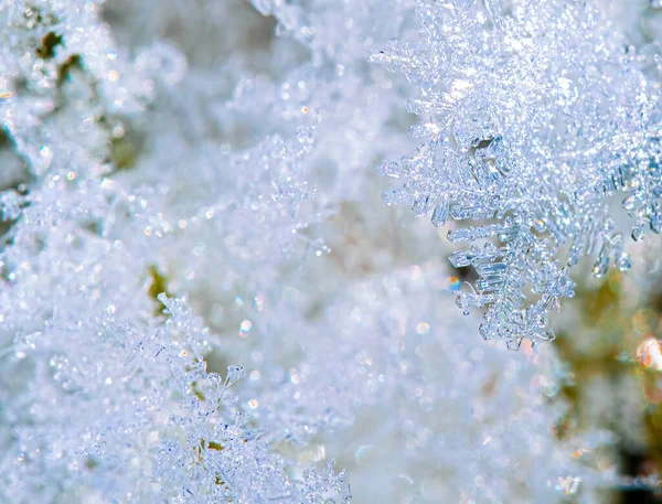 Macro Background Fresh Snowflake Texture Blur Royalty Free Stock Images