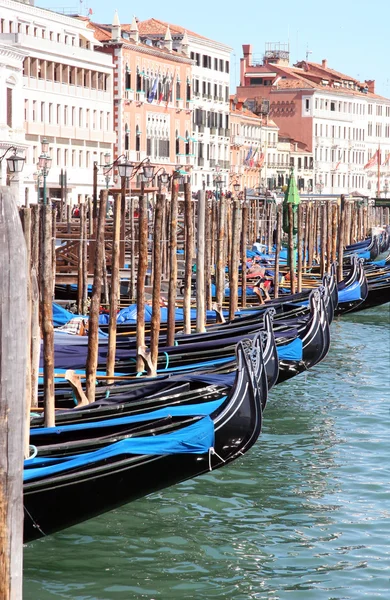 Venezia