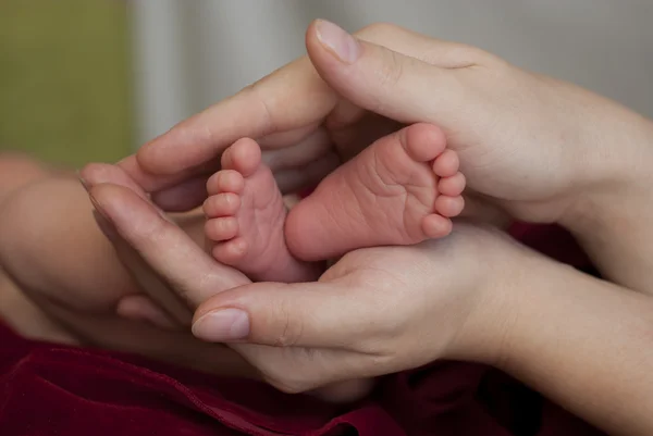 Baby boy — Stock Photo, Image