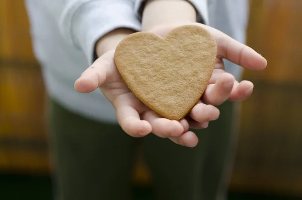 Cookies — Stock Photo, Image