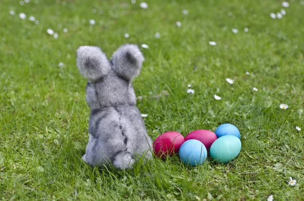 Пасхальный кролик с яйцами на лугу весной — стоковое фото