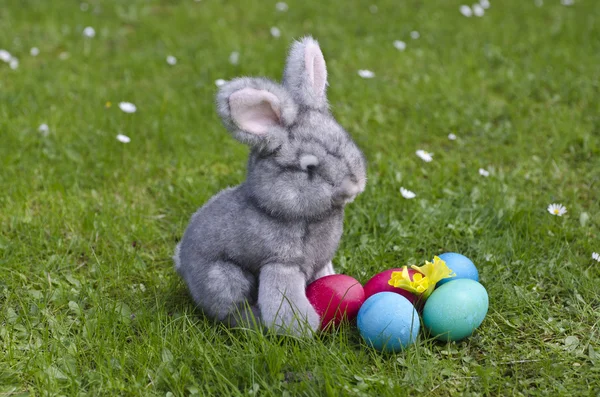 부활절 토끼를 봄에서 풀밭에 계란 로열티 프리 스톡 이미지