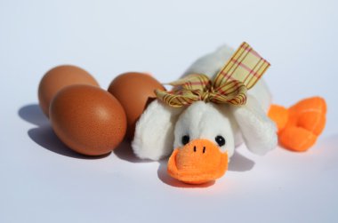 Bahçede papatyaları olan Paskalya pilici