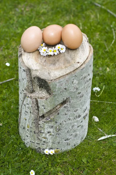 Huevos de Pascua — Foto de Stock