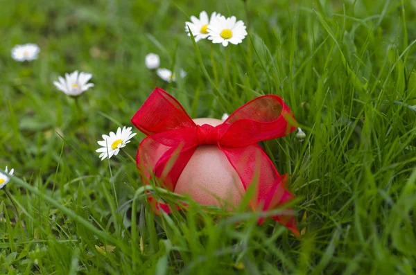 Easter eggs and branch with flowers on wooden — Stock Photo, Image