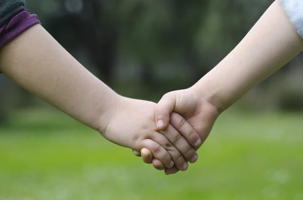 iki erkek el sallayarak