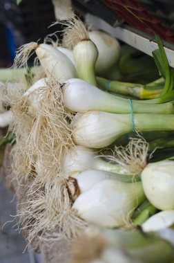 bazı taze soğan ampuller ile tops