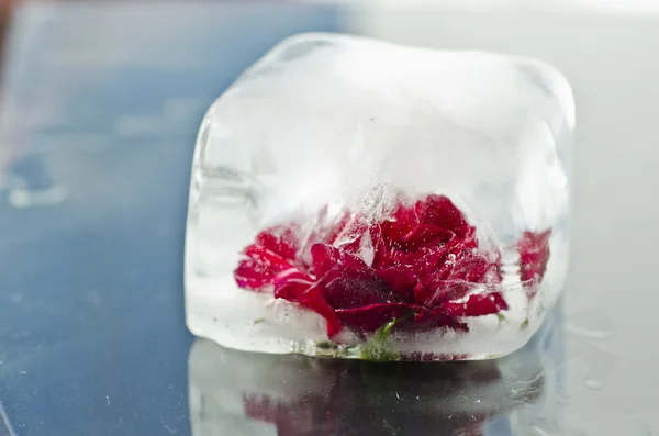 çiçek boyama güller kaplı unutuldu