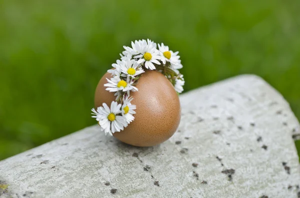 Macro brote de huevos marrones en el nido de heno en granja de pollo — Foto de Stock