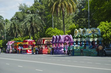Güzel karanfil çiçekleri ya da çiçek tarhında pembeler