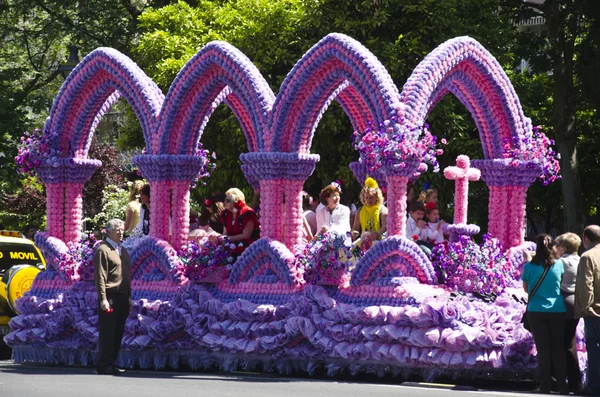 Vackra nejlikor blommor eller nypor i rabatten — Stockfoto