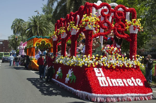 Güzel karanfil çiçekleri ya da çiçek tarhında pembeler