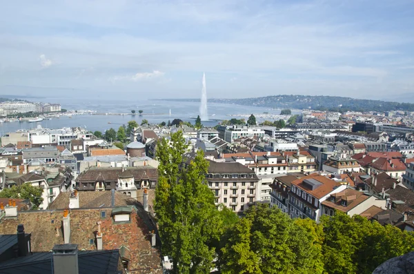 Kind to lake of Geneva and a fountain — Stock Photo, Image