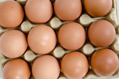 Sepette Beyaz üzerinde kahverengi yumurta