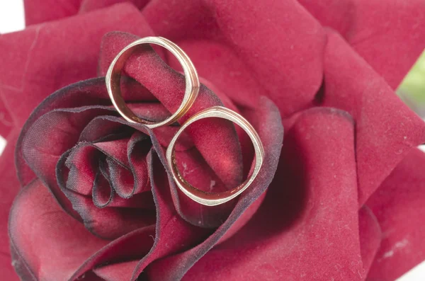 Anillos de boda de oro en flor — Foto de Stock