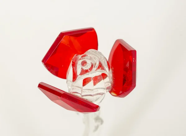 Rose glas — Stockfoto