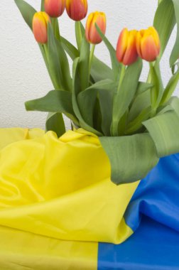 laleler flores regalar primavera parkı 