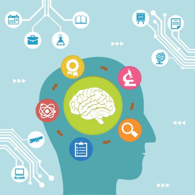 beyin işlem kavramı. Eğitim kavramı