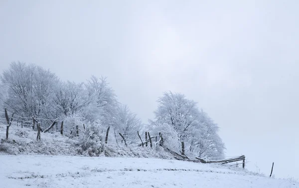 Karpatisch winter — Stockfoto