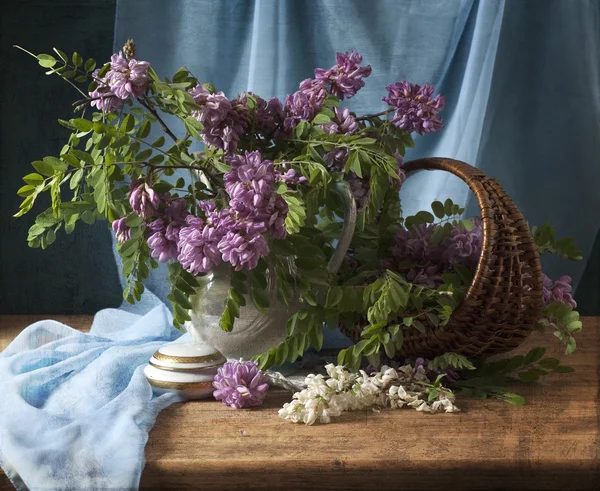 Natura morta con fiori di acacia — Foto Stock