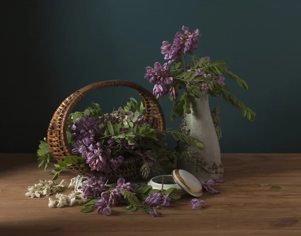 Nature morte avec des fleurs d'acacia — Photo