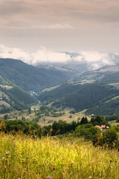 Осінній пейзаж у Карпатський — стокове фото