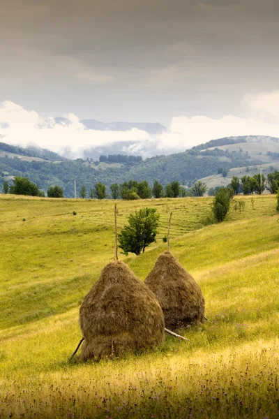 ภูมิทัศน์ฤดูใบไม้ร่วงใน Carpathian — ภาพถ่ายสต็อก