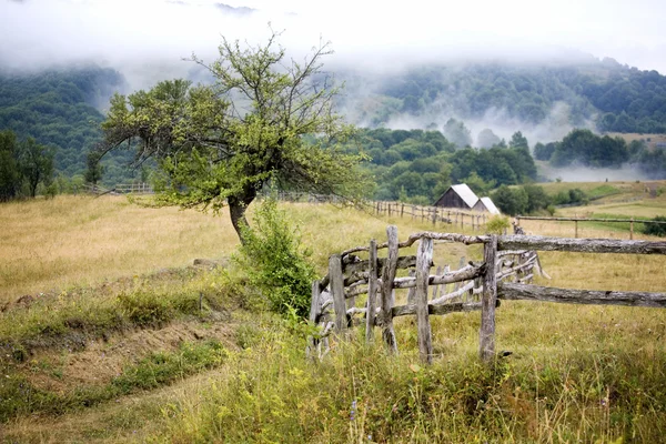 Höstlandskap i Karpaterna — Stockfoto