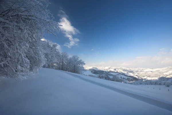 Winter — Stockfoto