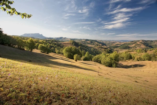 Beautiful green mountain landscape — Stock Photo, Image