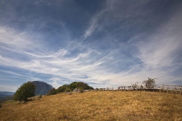 Sommarfjäll — Stockfoto