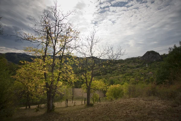 Beautiful autumn mountain — Stock Photo, Image