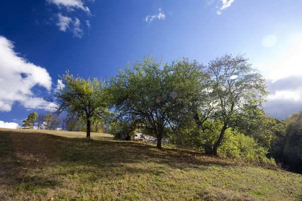 Beautiful autumn mountain — Stock Photo, Image