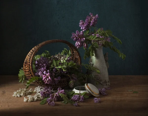 Still life with flowers of acacia — Stock Photo, Image