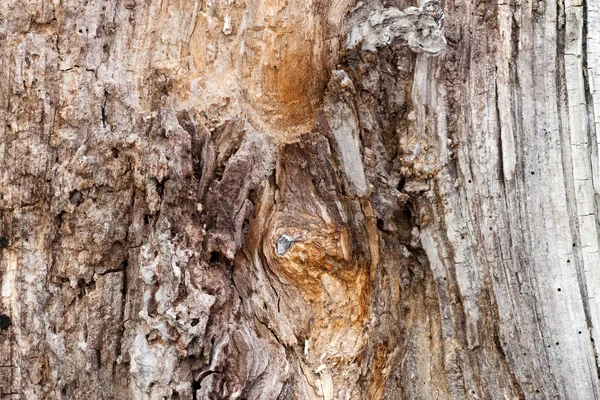 Legno vecchio — Foto Stock