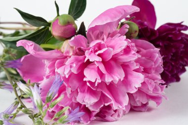 pembe Şakayık