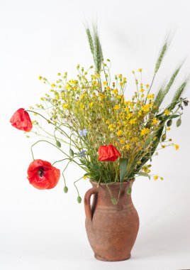 haşhaş çiçekleri