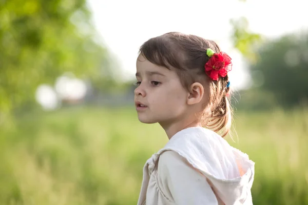 Menina no prado — Fotografia de Stock