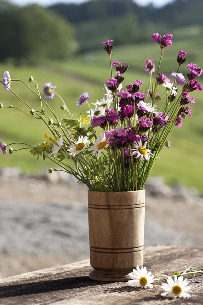 Bouquet of wild natural flowers — Stock Photo, Image