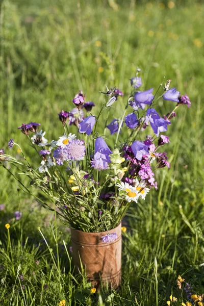 Bouquet of wild natural flowers — Stock Photo, Image