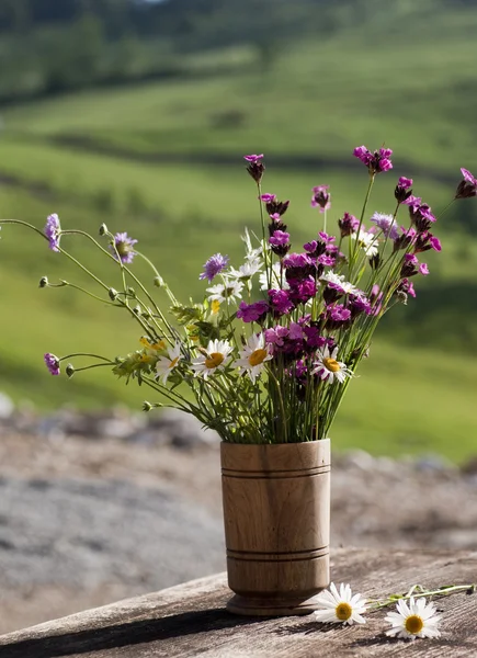 Bouquet of wild natural flowers — Stock Photo, Image