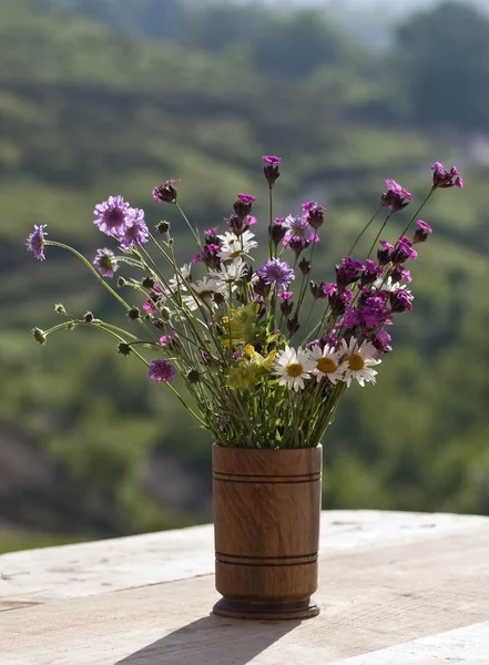 Vahşi doğal çiçek buketi — Stok fotoğraf