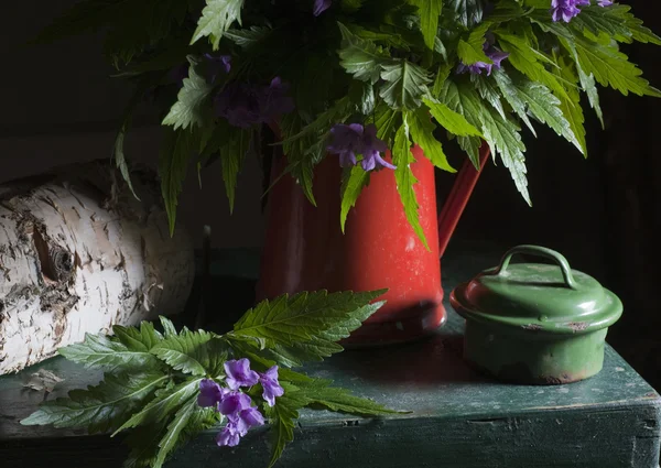 Feldblumen — Stockfoto