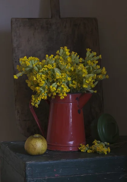 Flores de campo — Fotografia de Stock